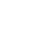 Utv White Icon