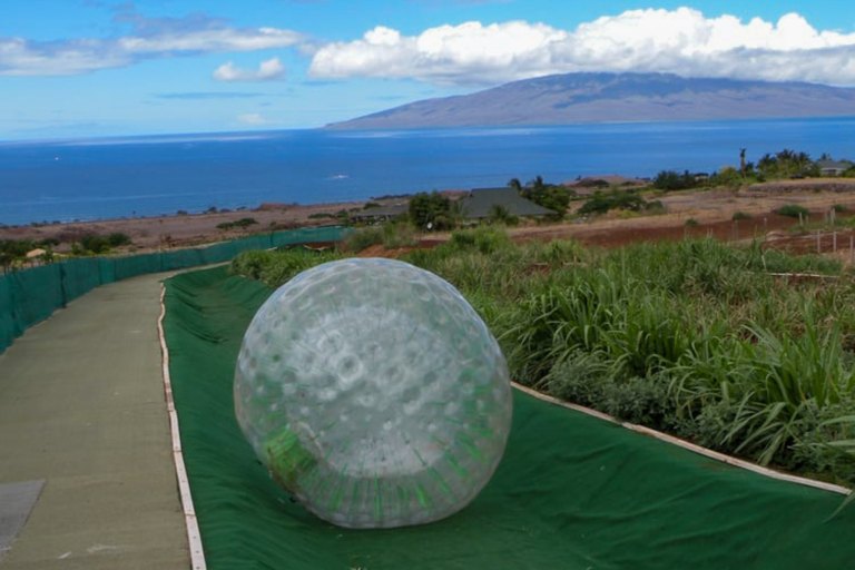 Mauidragonfruit Aquaball And Fruit Tasting Friendly Competition Ball Roll