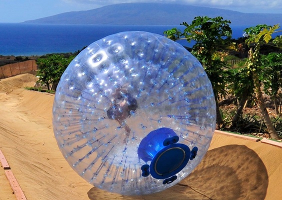 Mauidragonfruit Aquaball And Fruit Tasting Slide Enjoying