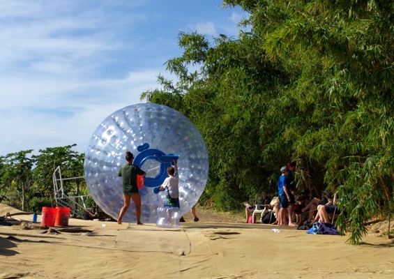 Mauidragonfruit Aquaball And Fruit Tasting Slide Friends