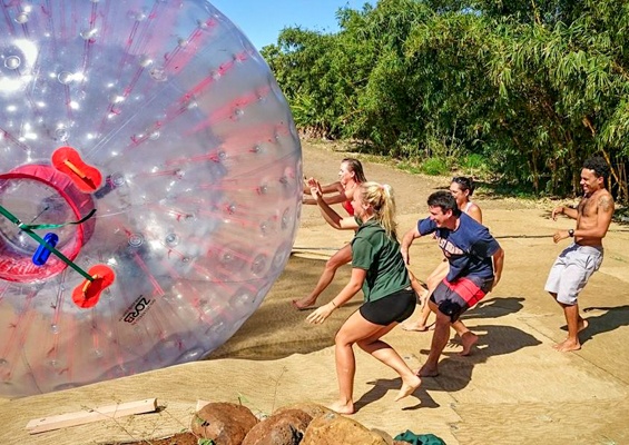 Mauidragonfruit Aquaball And Fruit Tasting Slide Group