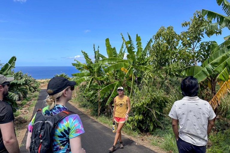 Mauidragonfruit Aquaball And Fruit Tasting Sunny Day Certified Exploring