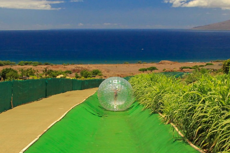 Mauidragonfruit Aquaball And Fruit Tasting Sunny Day Certified Giant Ball