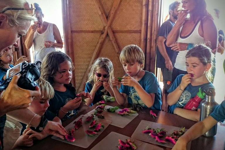 Mauidragonfruit Aquaball And Fruit Tasting Taste Of Aloha Kid Enjoy