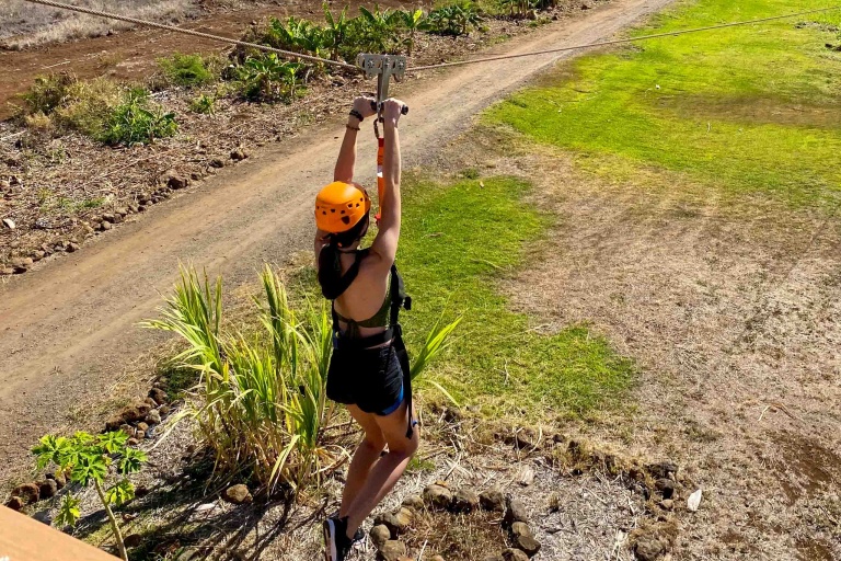 Mauidragonfruit Maui Zipline Fruit Tasting Braking Zipline