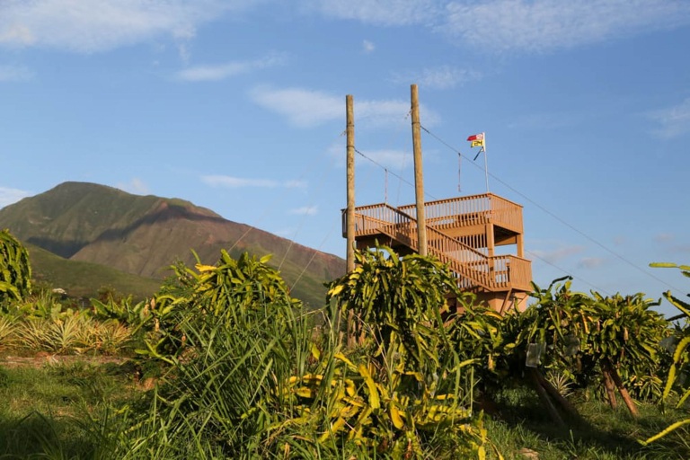 Mauidragonfruit Maui Zipline Fruit Tasting Braking Ziplines
