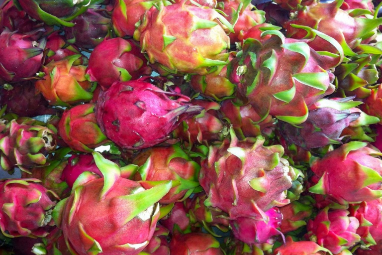 Mauidragonfruit Maui Zipline Fruit Tasting Maui Tropical Fruits