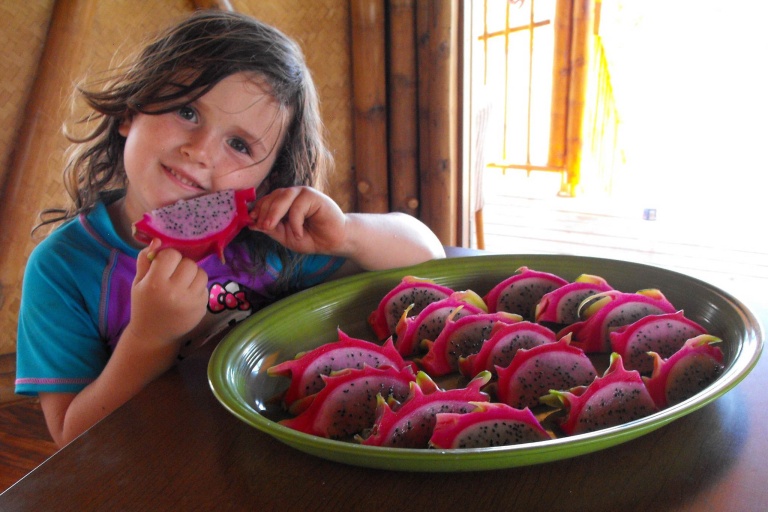 Mauidragonfruit Maui Zipline Fruit Tasting Maui Tropical Fruits Kid