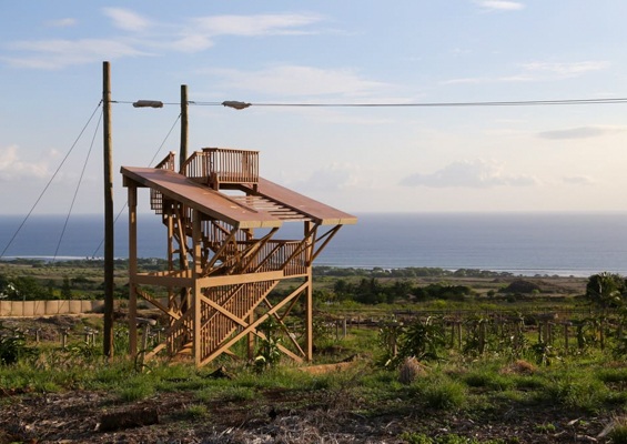 Mauidragonfruit Maui Zipline Fruit Tasting Slide Tower