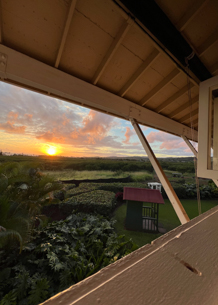 Merrimanshawaii Open Hours Mini