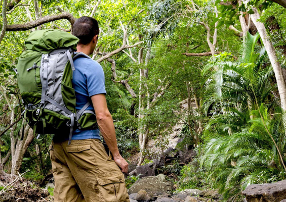 Oahu Hiker 