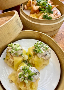Starnoodle Food Mini