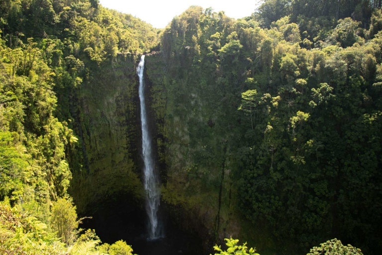 Akaka Falls State Park Big Island Nature Waterfall
