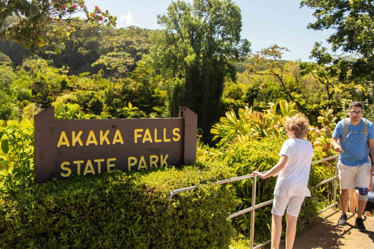 Akaka Falls State Park Family Waterfall