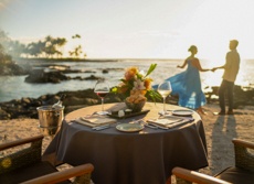 Fairmontorchid Dining Mini