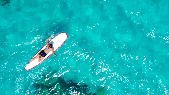 Fairmontorchid Nearby Activities