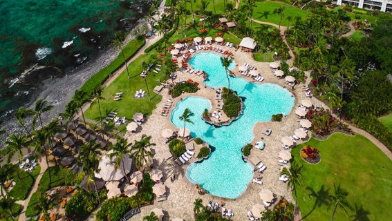 Fairmontorchid The Pool
