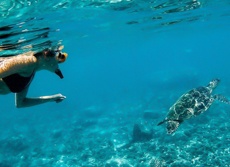 Marriott Koloa Landing Nearby Activities Mini