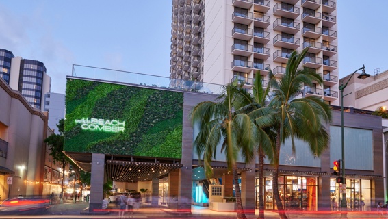 Outrigger Waikiki Beachcomber Hotel The Area