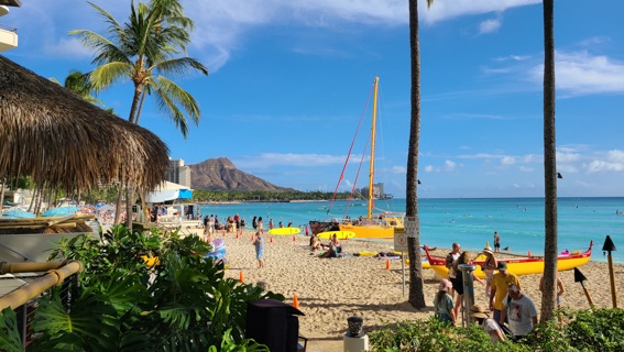 Outrigger Waikiki The Area
