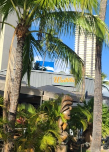 Waikikibrewing Location Mini