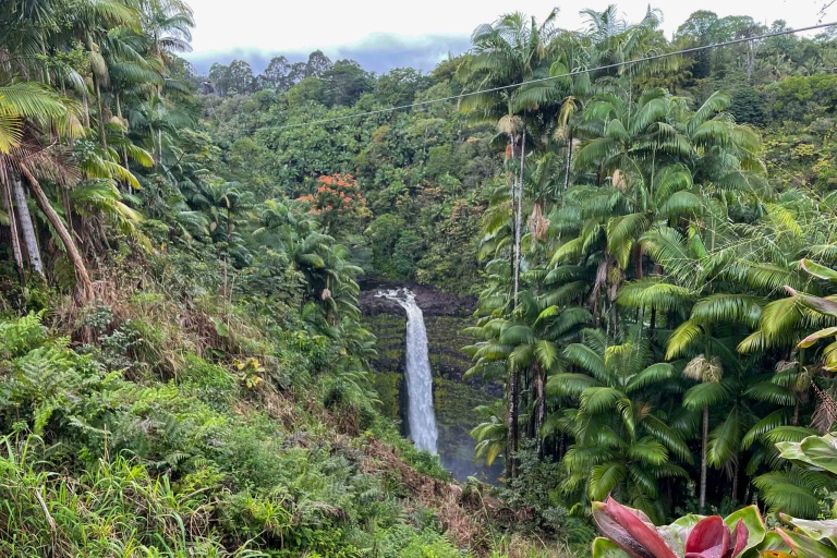 Ziplinetourshawaii Waterfall Zipline Adventure Enjoy The Views Falls