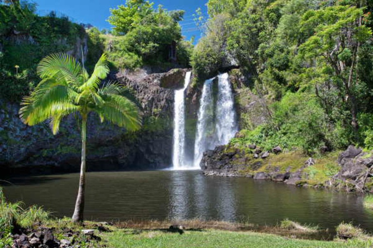 Ziplinetourshawaii Waterfall Zipline Adventure Enjoy The Views Waterfall