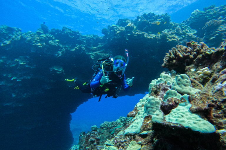 Goscubadivemaui Cathedral Dive Lanai Feature First Cathedral Of Lanai Coral