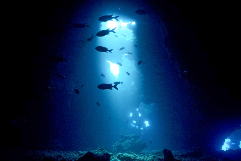 Goscubadivemaui Cathedral Dive Lanai Feature First Cathedral Of Lanai Scuba Dive