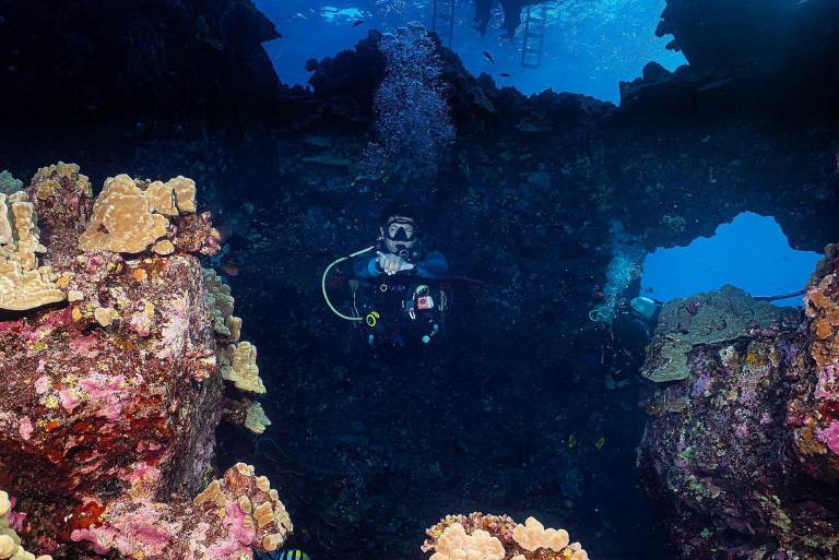 Goscubadivemaui Cathedral Dive Lanai Feature Lanai Second Cathedral Beach