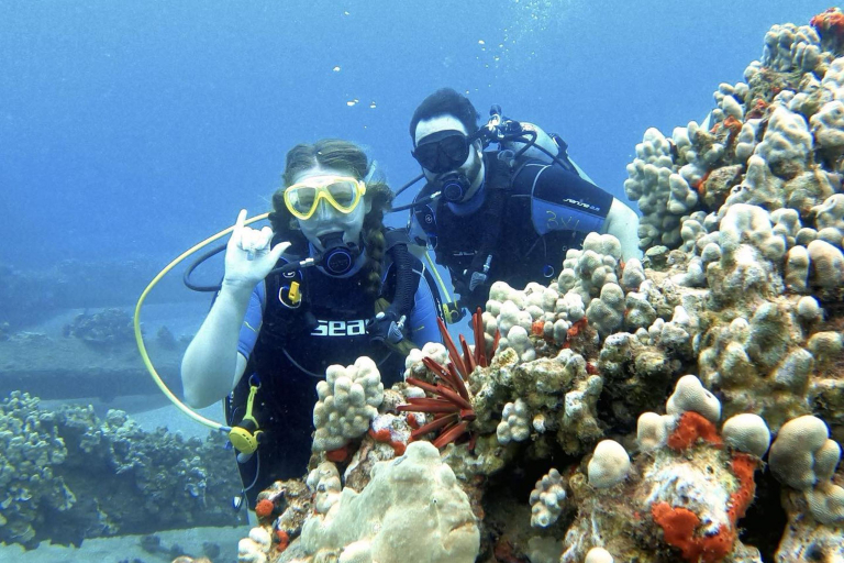 Goscubadivemaui Turtle And Shark Dive Feature Coral Scuba