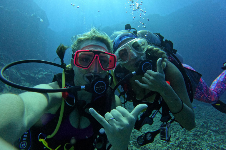 Goscubadivemaui Turtle And Shark Dive Feature Dive Friends