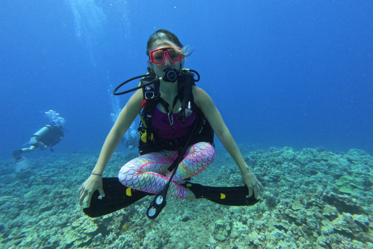 Goscubadivemaui Turtle And Shark Dive Feature Scuba