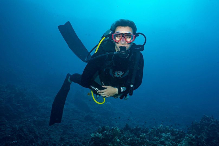 Goscubadivemaui Turtle And Shark Dive Feature Scuba Dive
