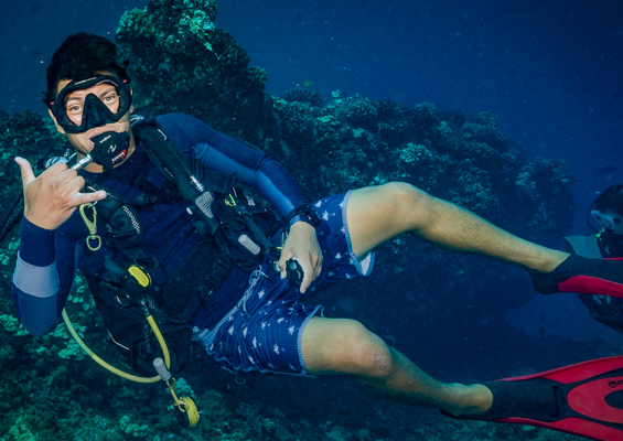 Goscubadivemaui Turtle And Shark Dive Slider Dive