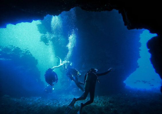 Goscubadivemaui Turtle And Shark Dive Slider Scuba