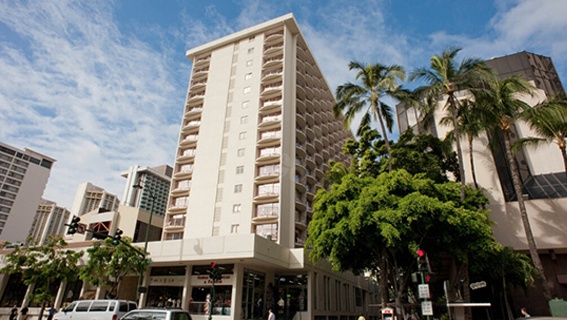 Laylowwaikiki Thelaylow Autograph Collection Feature Thearea