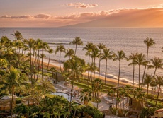 Marriott The Westin Maui Resort And Spa Area Mini