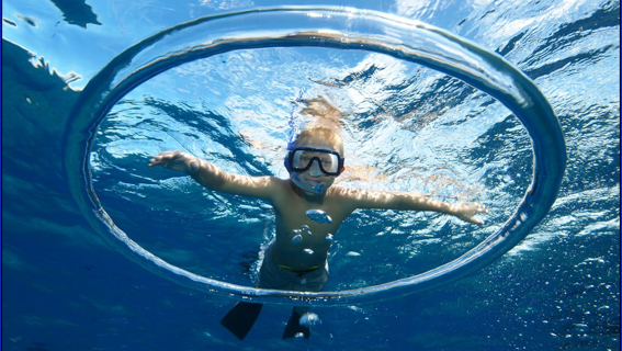 Marriott Westin Kaanapali Ocean Resort Villas Feature Activites Snorkel