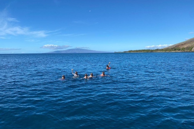 Mauicustomcharters Private Morning Snorkel