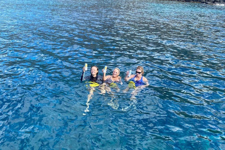 Mauicustomcharters Private Morning Snorkel Group