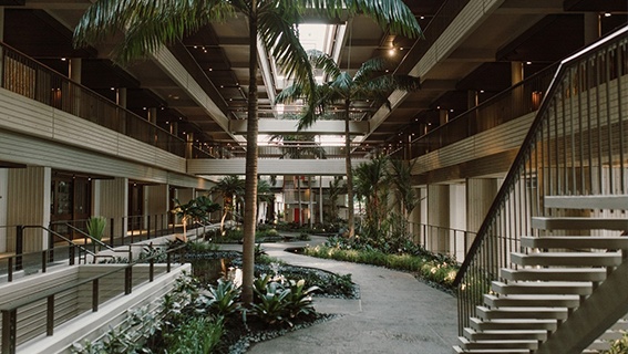 Maunakearesort Mauna Kea Beach Hotel Feature Thehotel