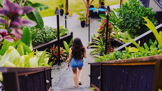 Paradisebayresort Paradise Bay Resort Feature Windward Oahu