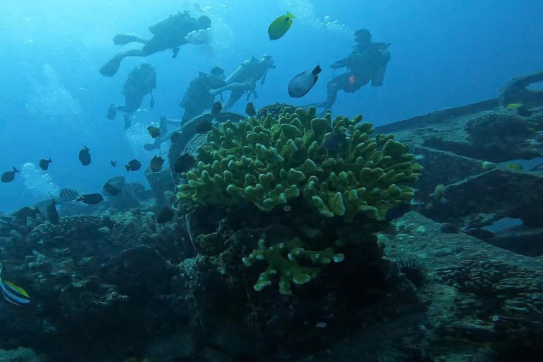 Tridentadventures Am Certified Scuba Refresher For Certified Or Try To Scuba Feature Coral Dive Beach