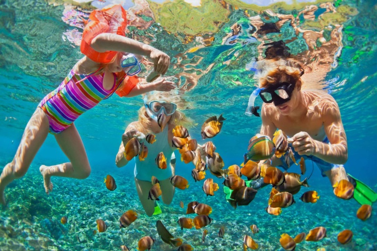 Tridentadventures Am Helicopter Jump Dive Or Snorkel Feature Slide Snorkeling Fish Beach