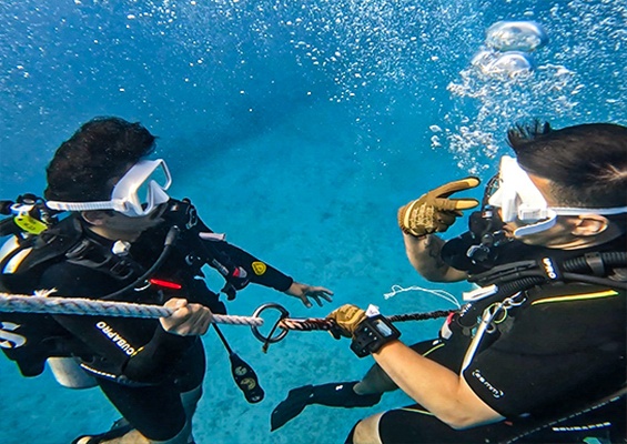 Tridentadventures Am Helicopter Jump Dive Or Snorkel Slider Diving Guide The Dive