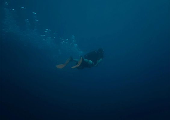 Tridentadventures Oahu Navy Seal Divi Beach Slider 