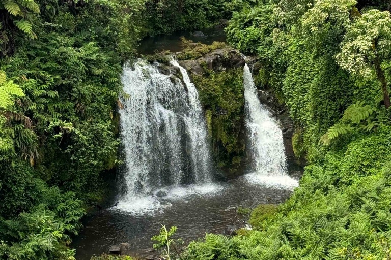 Ziplinetourshawaii Hike Private Waterfalls Incredible View