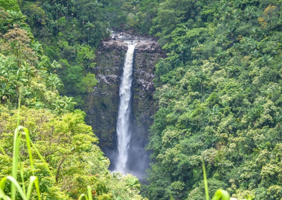 Ziplinetourshawaii Hike Private Waterfalls Overview