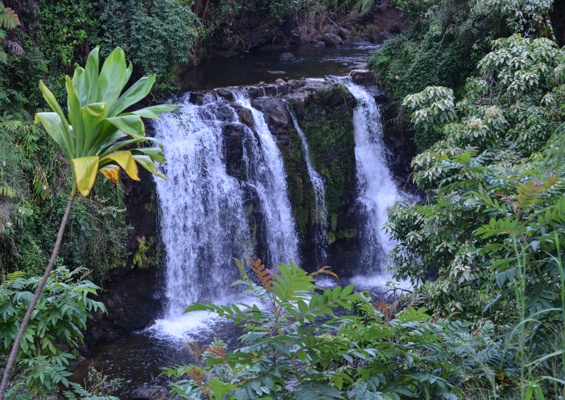 Ziplinetourshawaii Hike Private Waterfalls View Waterfall